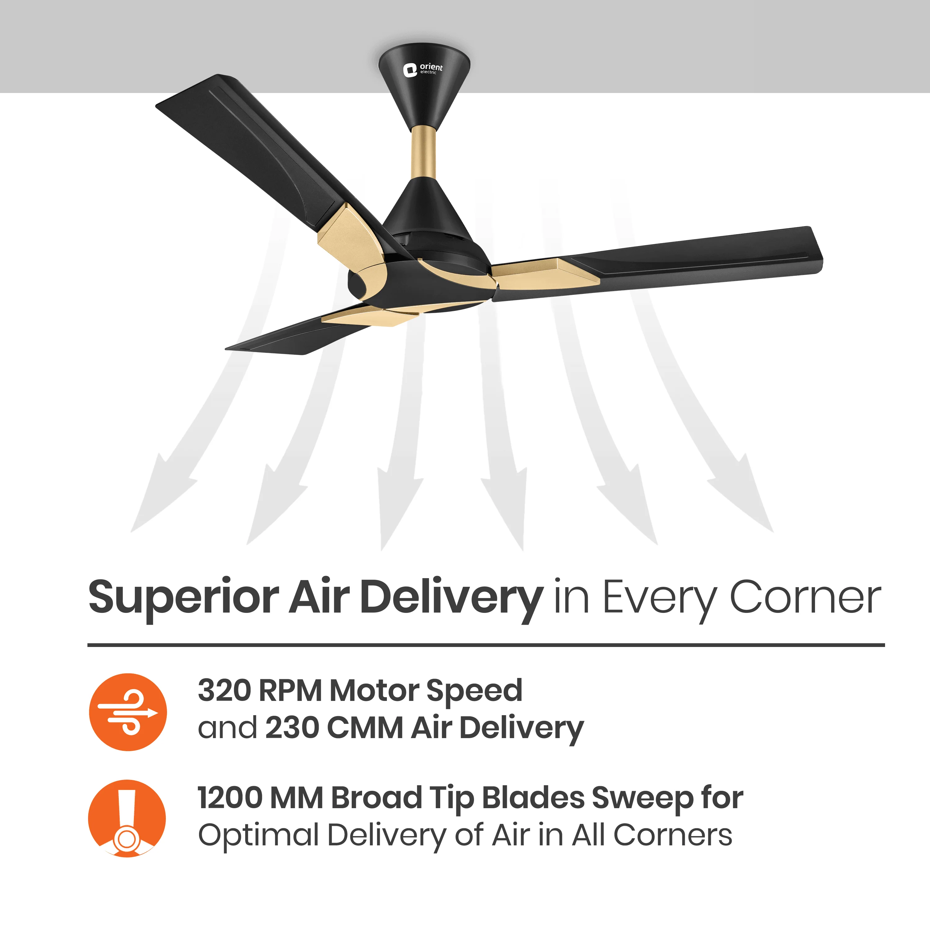 Wendy Designer Ceiling Fan with Remote - Image 12
