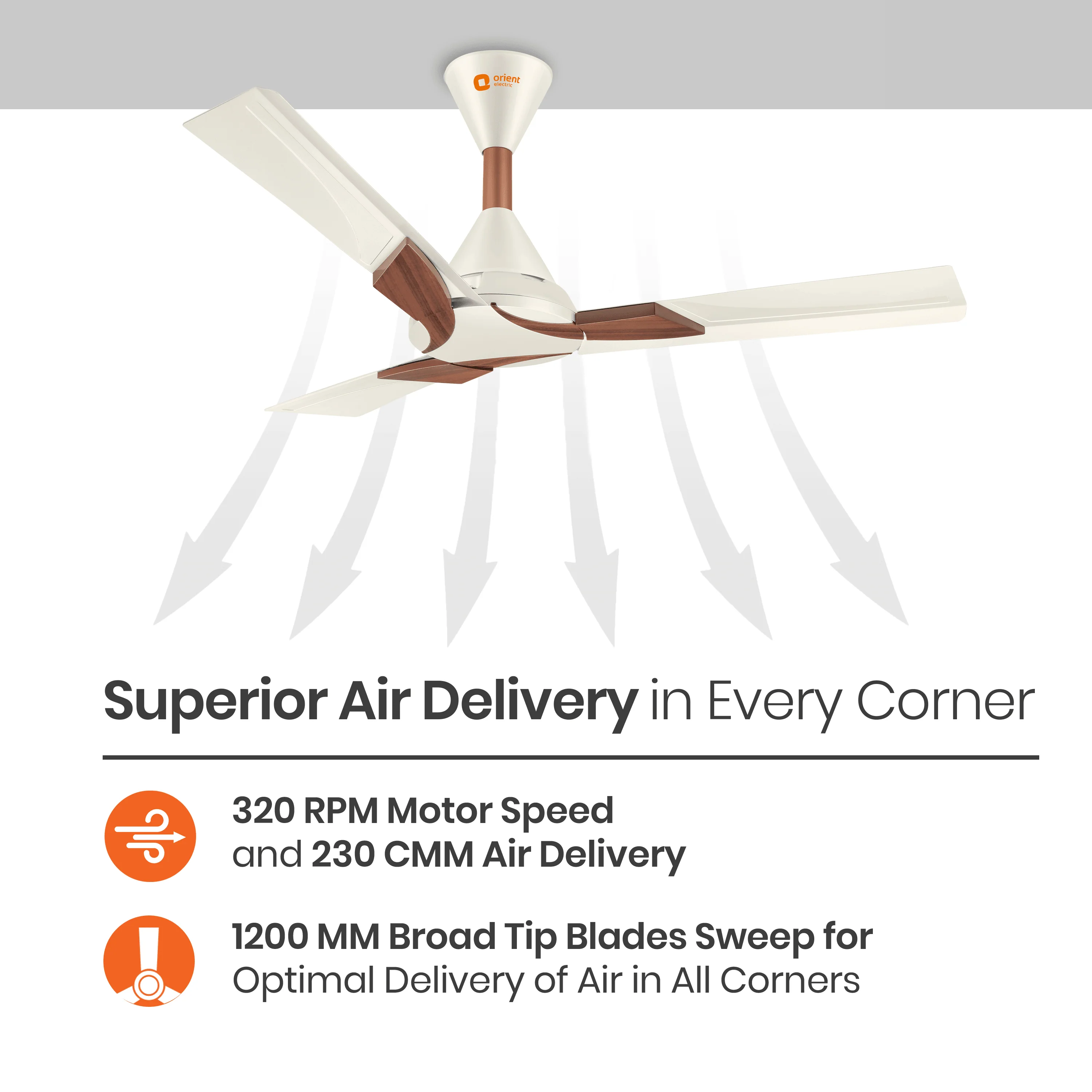 Wendy Designer Ceiling Fan with Remote - Image 18