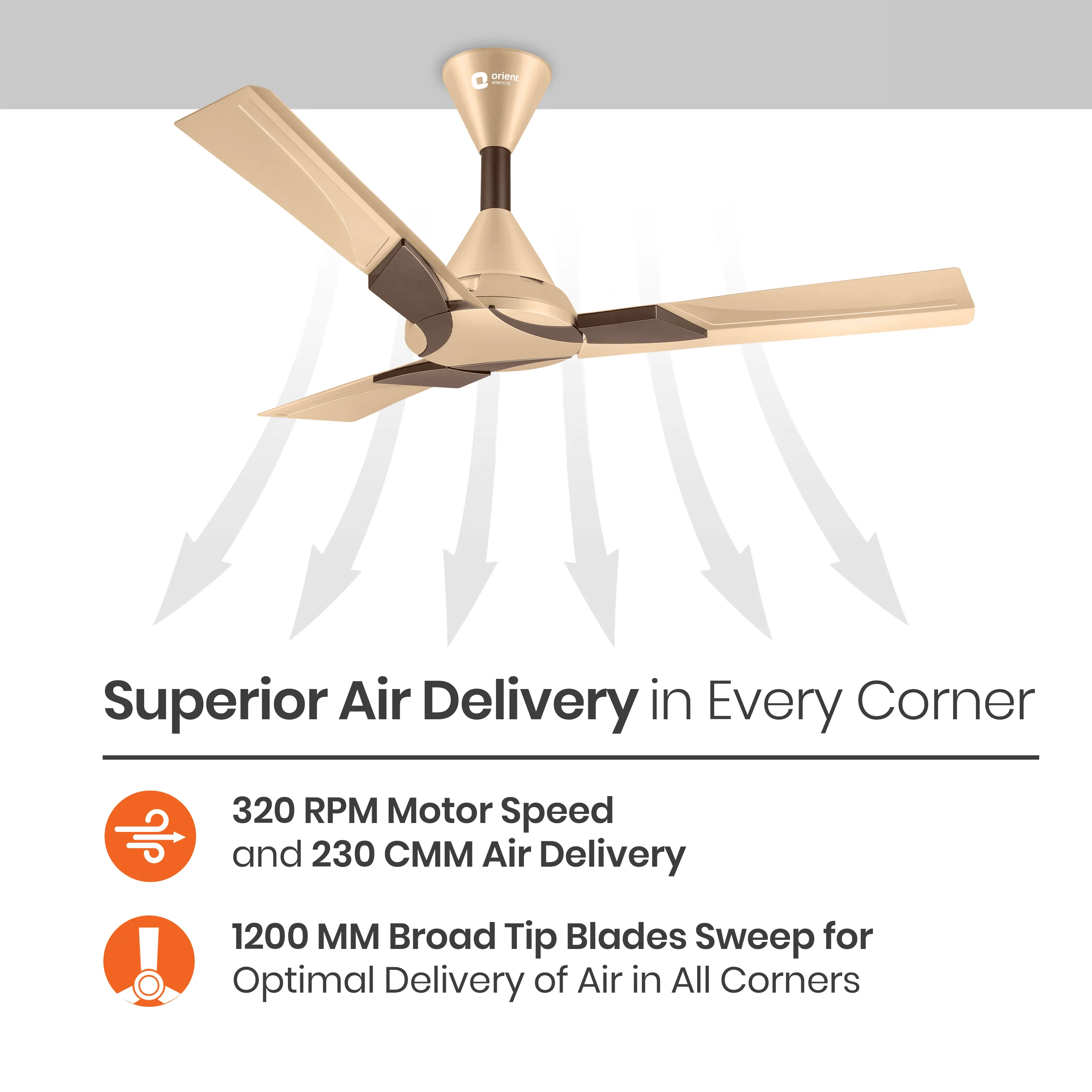 Wendy Designer Ceiling Fan with Remote - Image 24